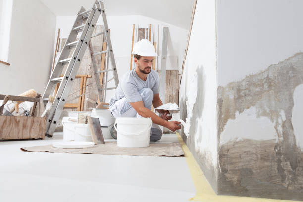 Best Real Estate Mold Inspection  in Nokomis, IL
