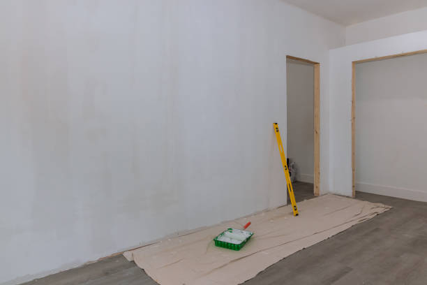 Best Dehumidification Services  in Nokomis, IL