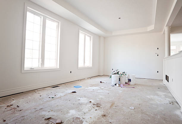 Best Mold Remediation for Rental Properties  in Nokomis, IL